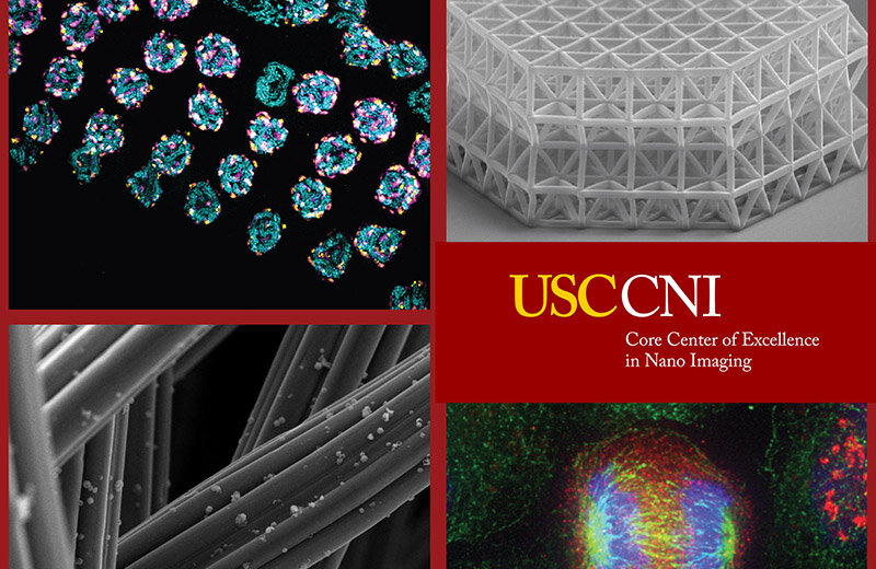 Image: The new cryogenic electron microscopy facility at USC is housed in the Core Center of Excellence in Nano Imaging. Credit: Core Center of Excellence in Nano Imaging.