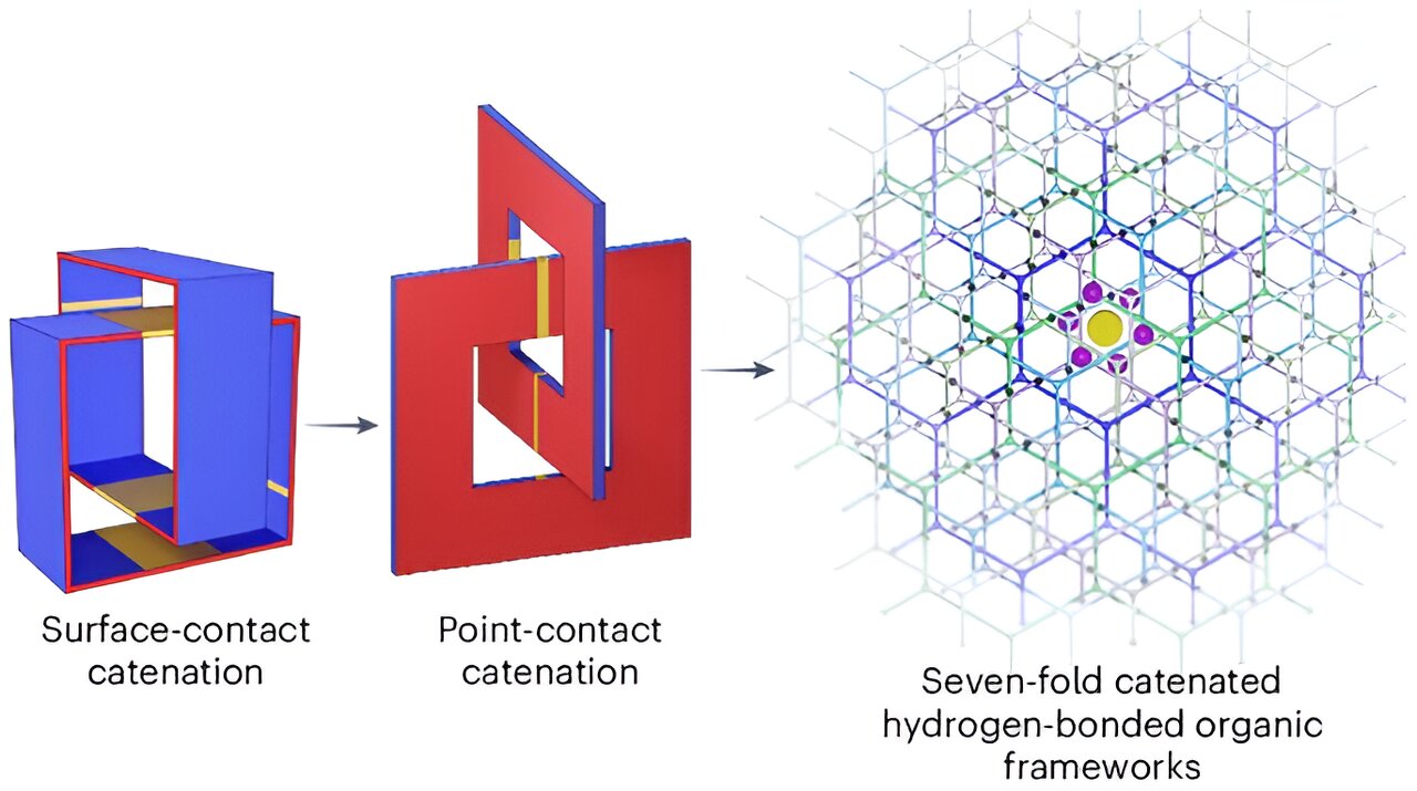 Credit: Nature Chemistry (2024). DOI: 10.1038/s41557-024-01622-w