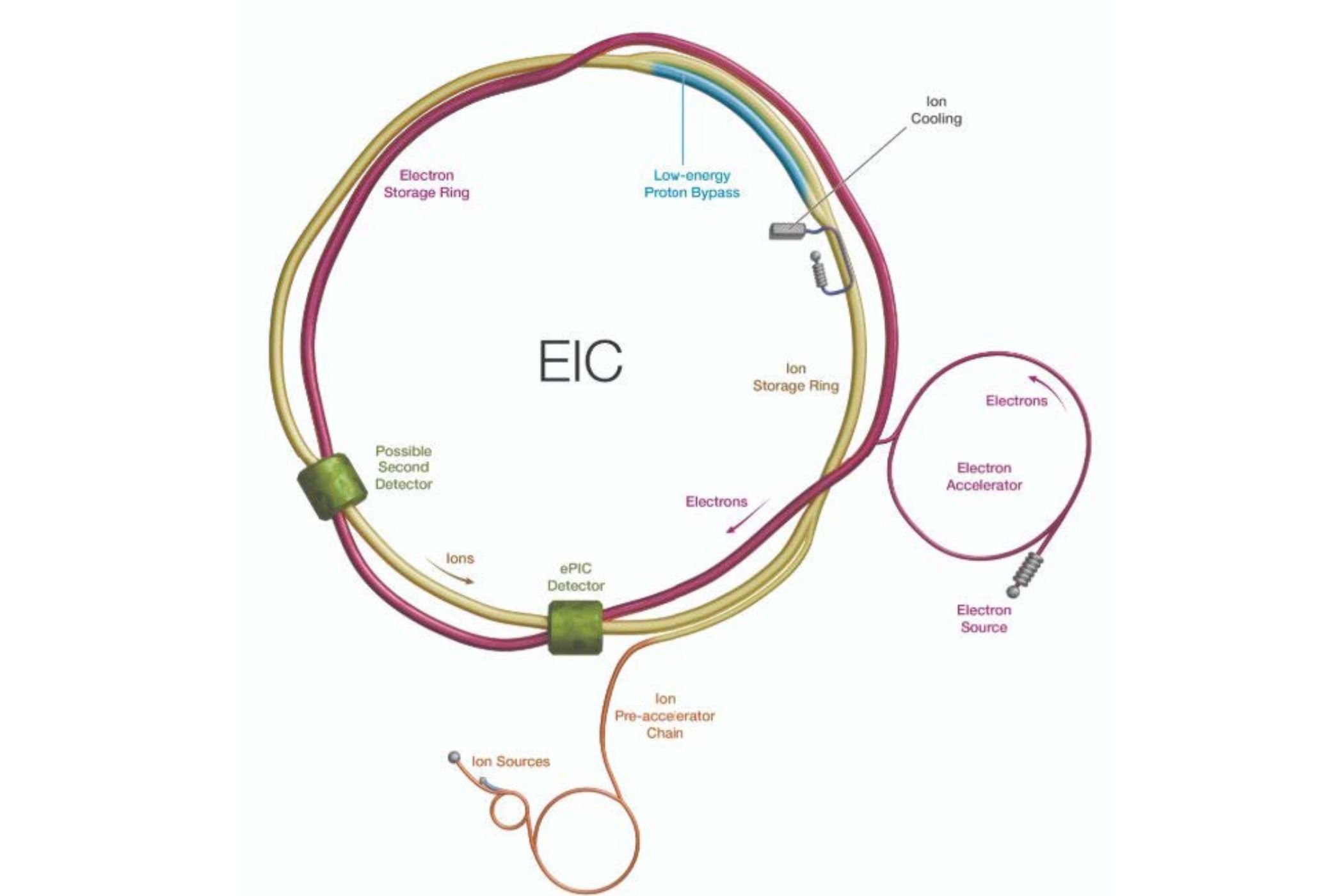 Figure 1: Electron Ion Collider. Credit: Brookhaven