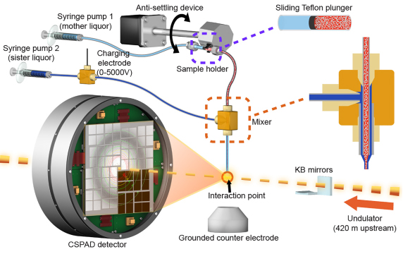 Diagram of the experimental setup at SLAC’s Linac Coherent Light Source. Gently prepared samples of fragile biological complexes are dropped into the path of the X-ray laser pulses, which enter from bottom right (yellow dashed line). At the interaction point where they meet, X-rays bounce off atoms in the sample and scatter into a detector, bottom left, producing patterns that are used to reconstruct the sample’s atom-by-atom structure. Image: R. Sierra et al., Nature Methods