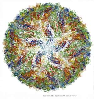 Atomic structure of the Zika virus. Image: ©The Royal Swedish Academy of Sciences