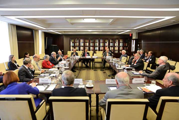 Committee members and AAAS president Fanton meeting with NGO leaders on the report rollout day.